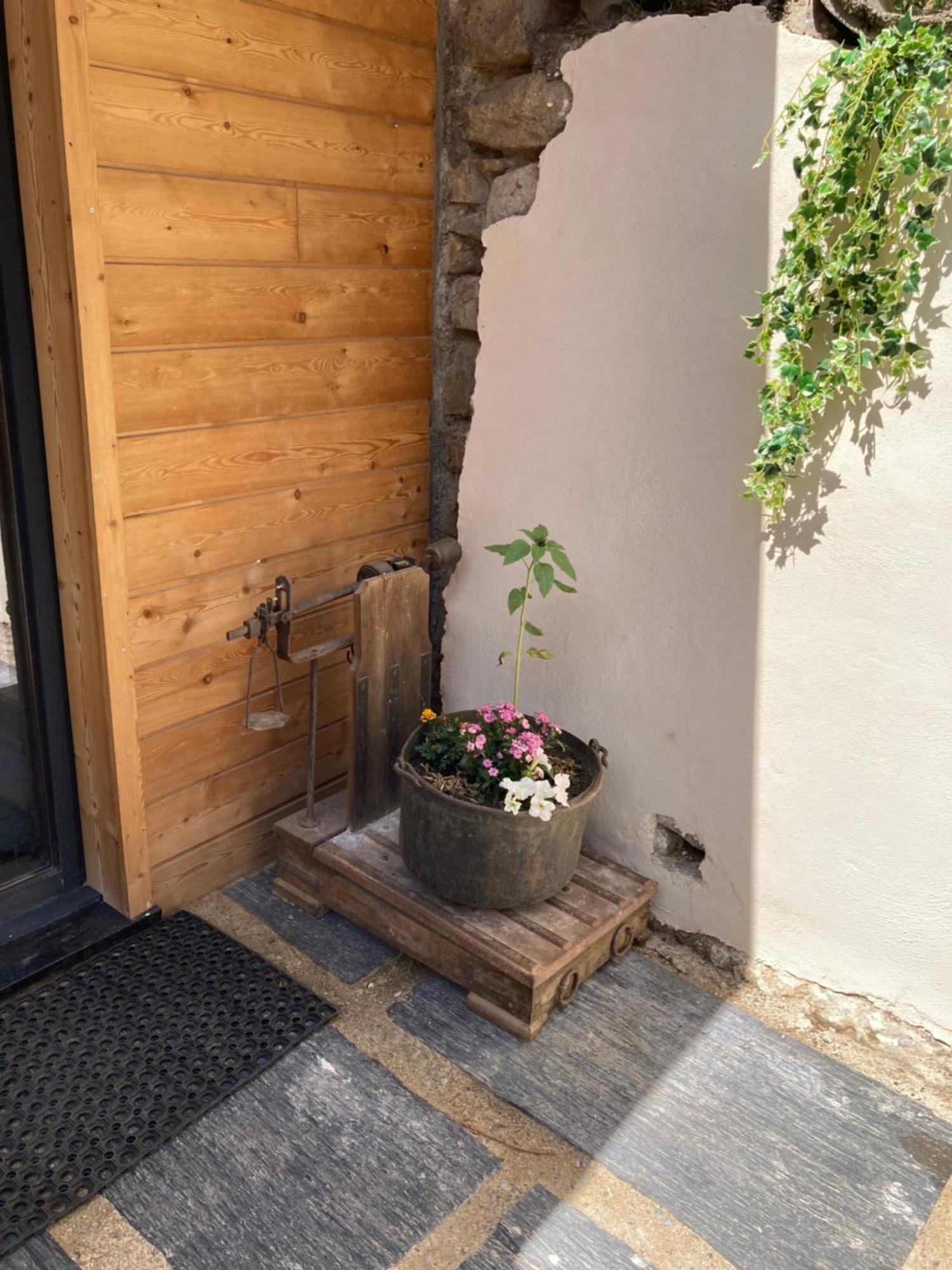 Chalet Melba Le Clos Des Ours Matemale Dış mekan fotoğraf